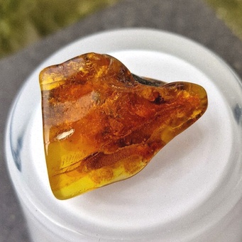 Collection Ambre