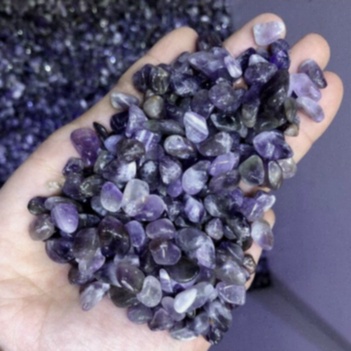 Intérieur de la boutique à Fréjus